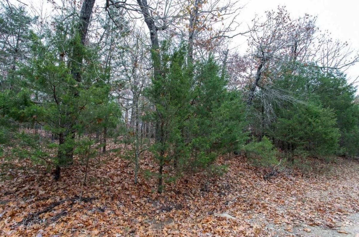 0.33 Acres for Sale in Horseshoe Bend, Arkansas