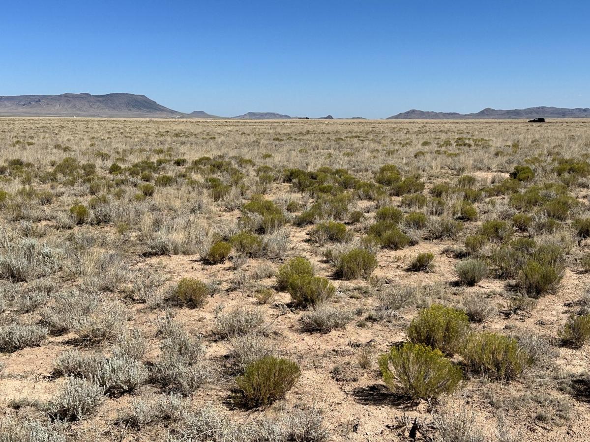 5.6 Acres for Sale in Mesita, Colorado