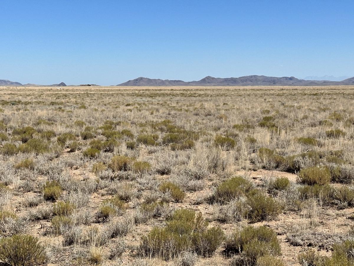5.6 Acres for Sale in Mesita, Colorado