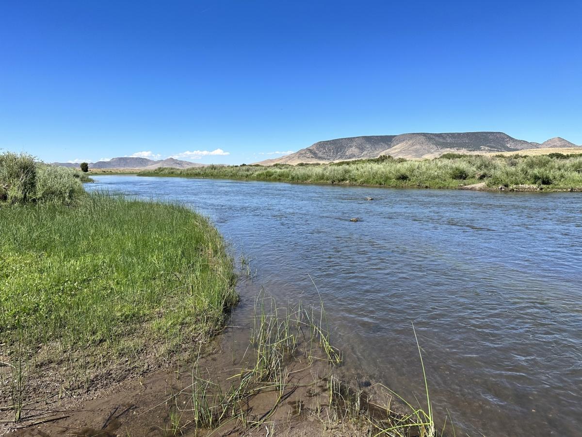 5.6 Acres for Sale in Mesita, Colorado