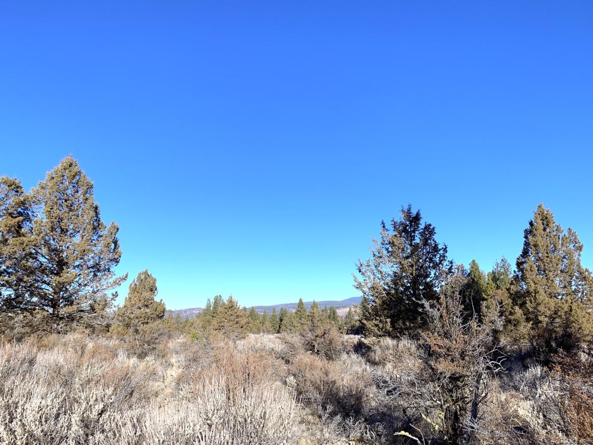2.4 Acres for Sale in Sprague River, Oregon