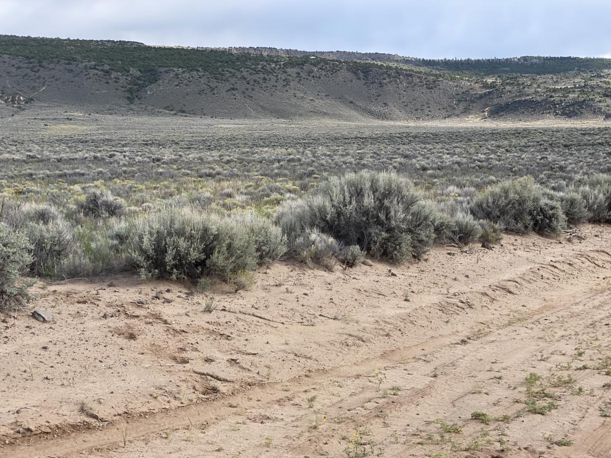 4.73 Acres for Sale in Blanca, Colorado