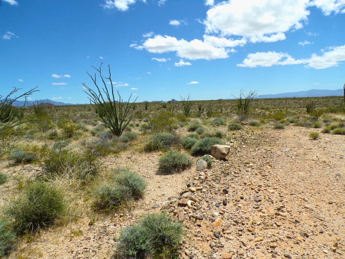 2.35 Acres for Sale in Yucca, Arizona