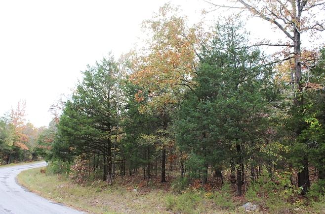0.32 Acres for Sale in Horseshoe Bend, Arkansas