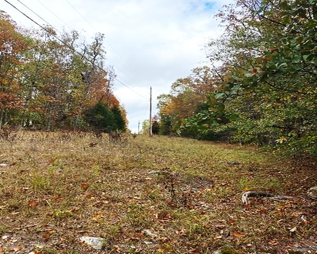 0.32 Acres for Sale in Horseshoe Bend, Arkansas