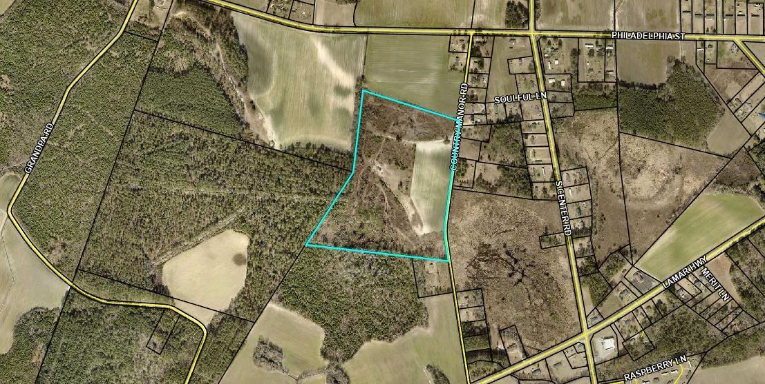 41.3 Acres for Sale in Darlington, South Carolina