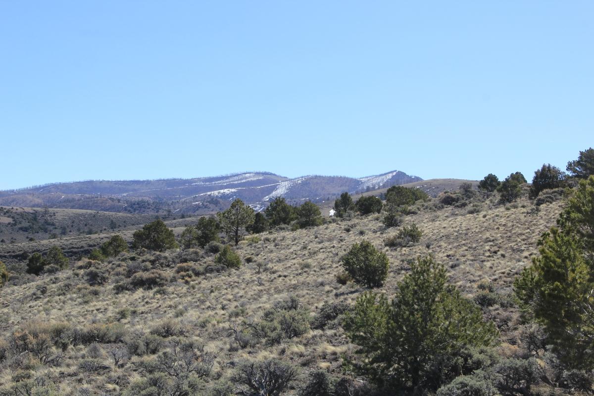 5.04 Acres for Sale in Fir, Colorado