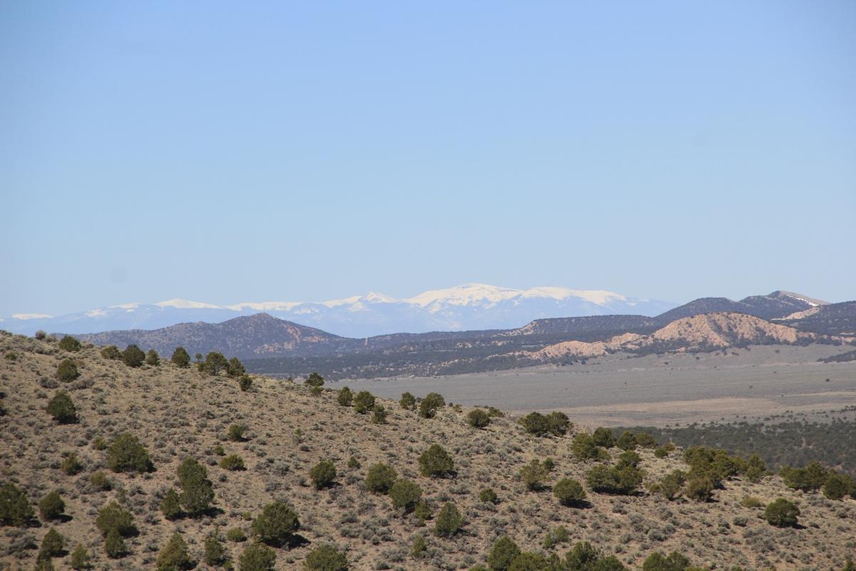 5.06 Acres for Sale in Fir, Colorado