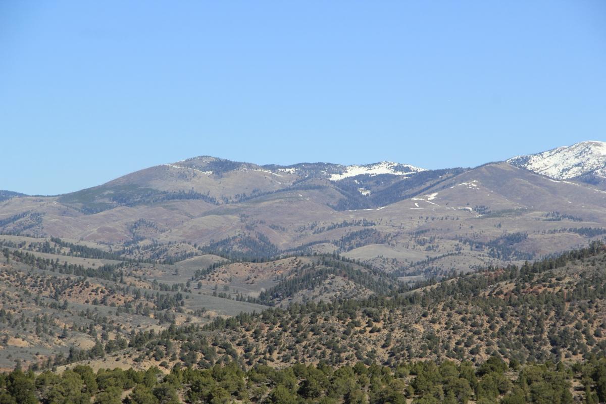 5.06 Acres for Sale in Fir, Colorado