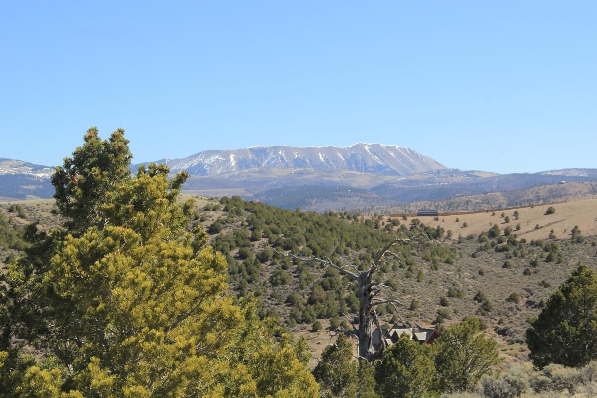 5.06 Acres for Sale in Fir, Colorado