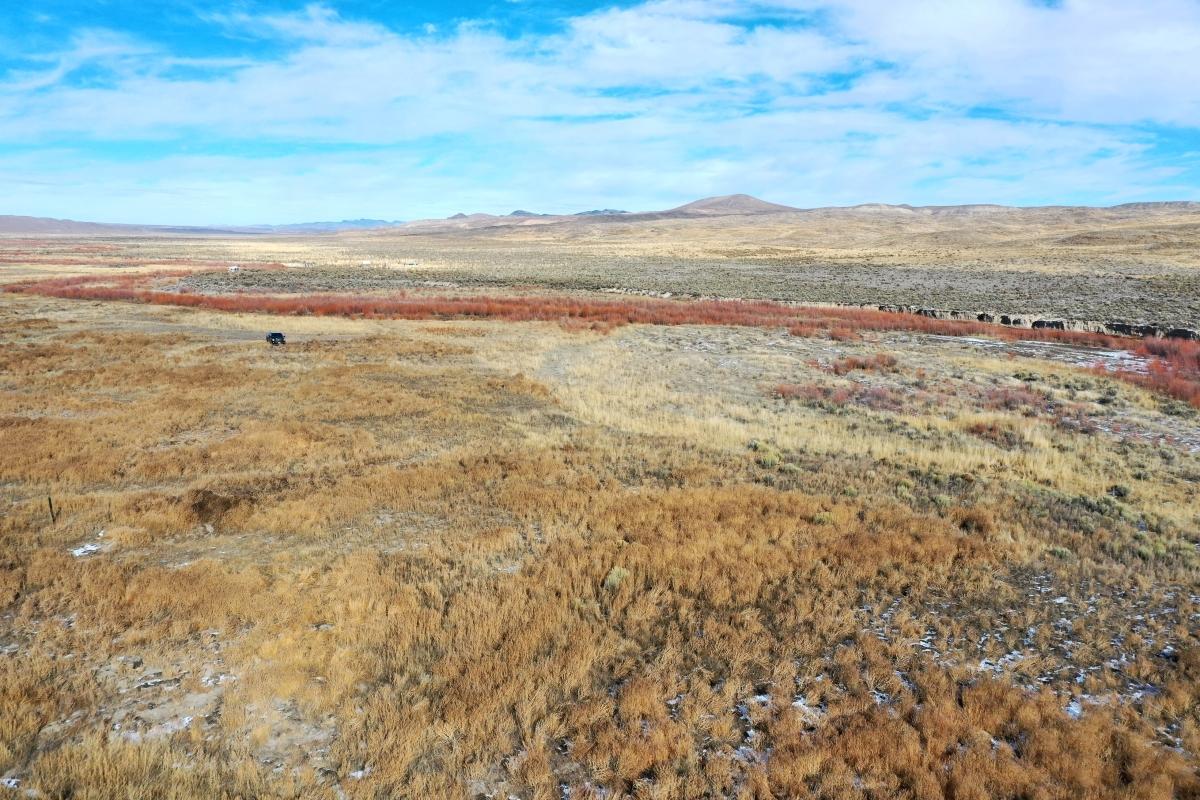 2.99 Acres for Sale in Ryndon, Nevada
