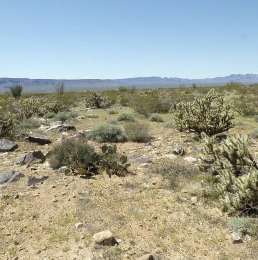 10 Acres for Sale in Joseph City, Arizona
