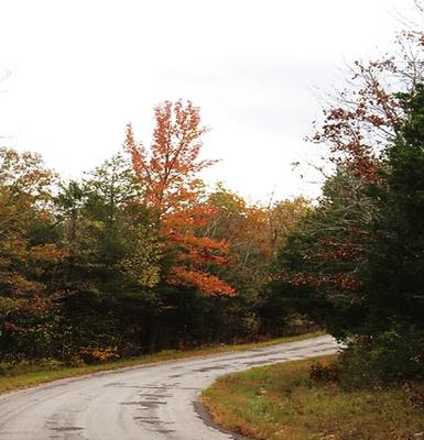 0.32 Acres for Sale in Horseshoe Bend, Arkansas