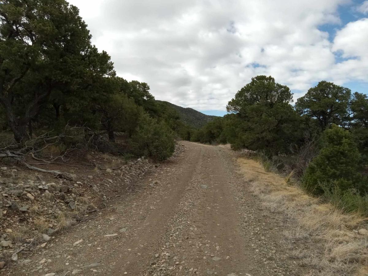 1.27 Acres for Sale in Mosca, Colorado