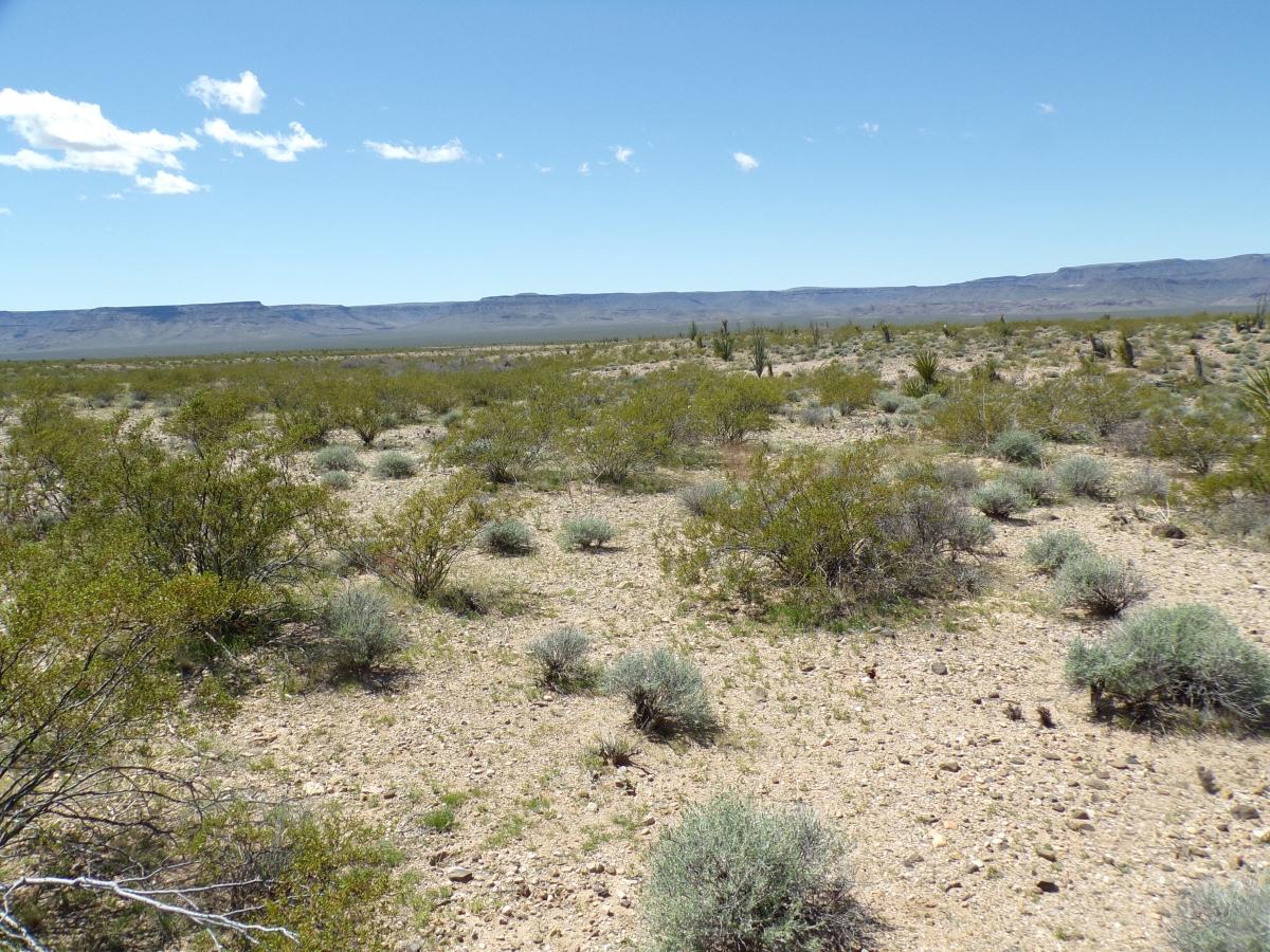 2.5 Acres for Sale in Golden Valley, Arizona