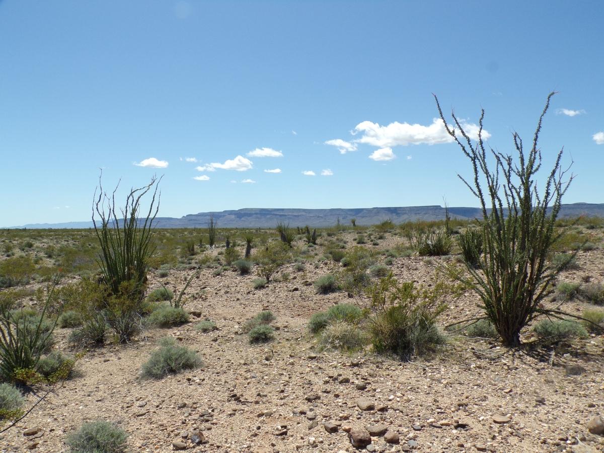 2.5 Acres for Sale in Golden Valley, Arizona