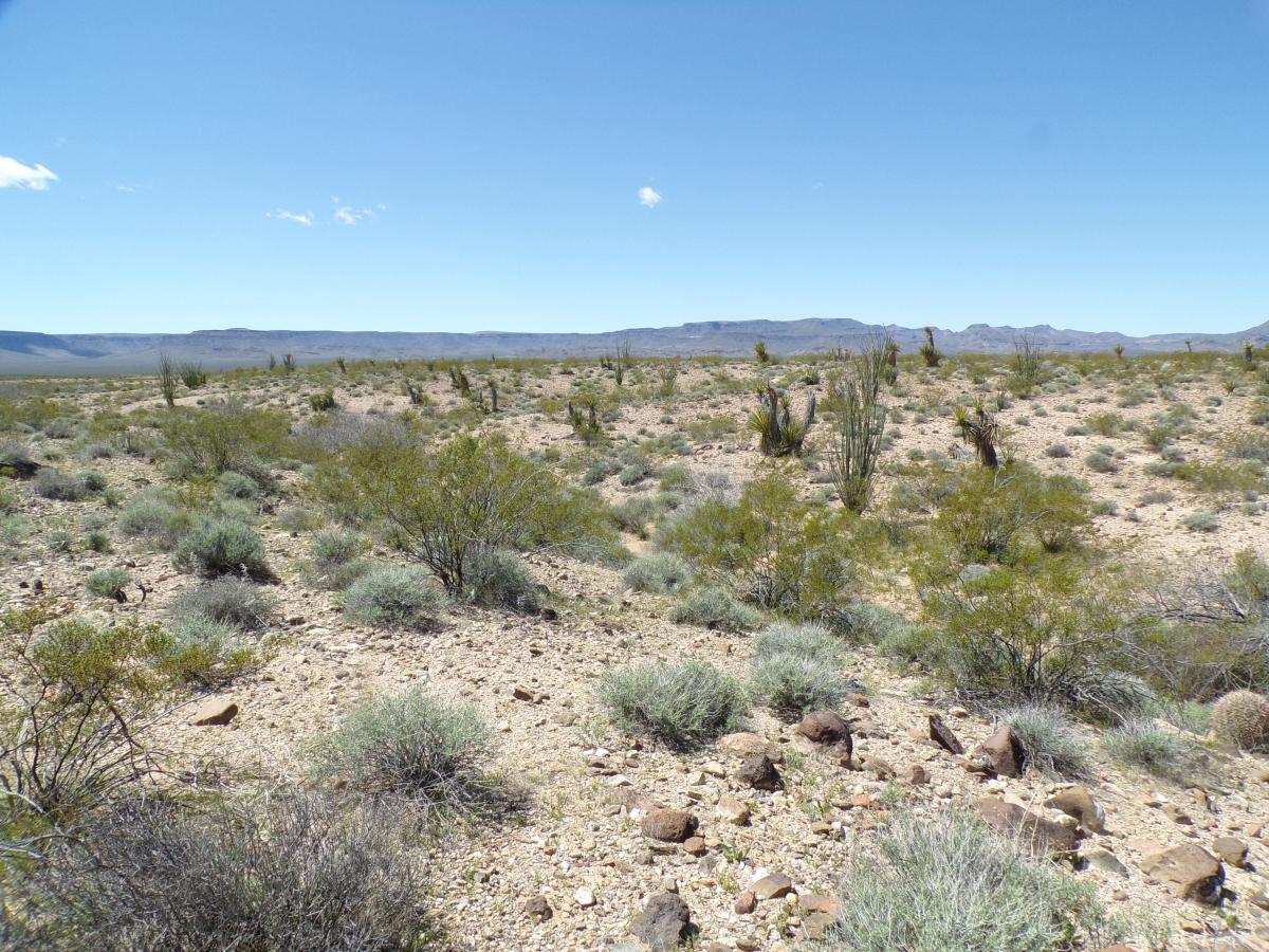 10 Acres for Sale in Golden Valley, Arizona