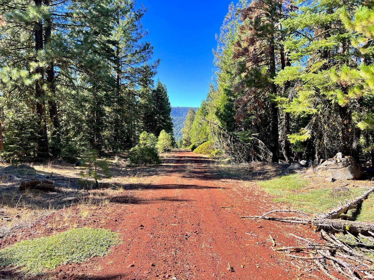0.9 Acres for Sale in California Pines, California