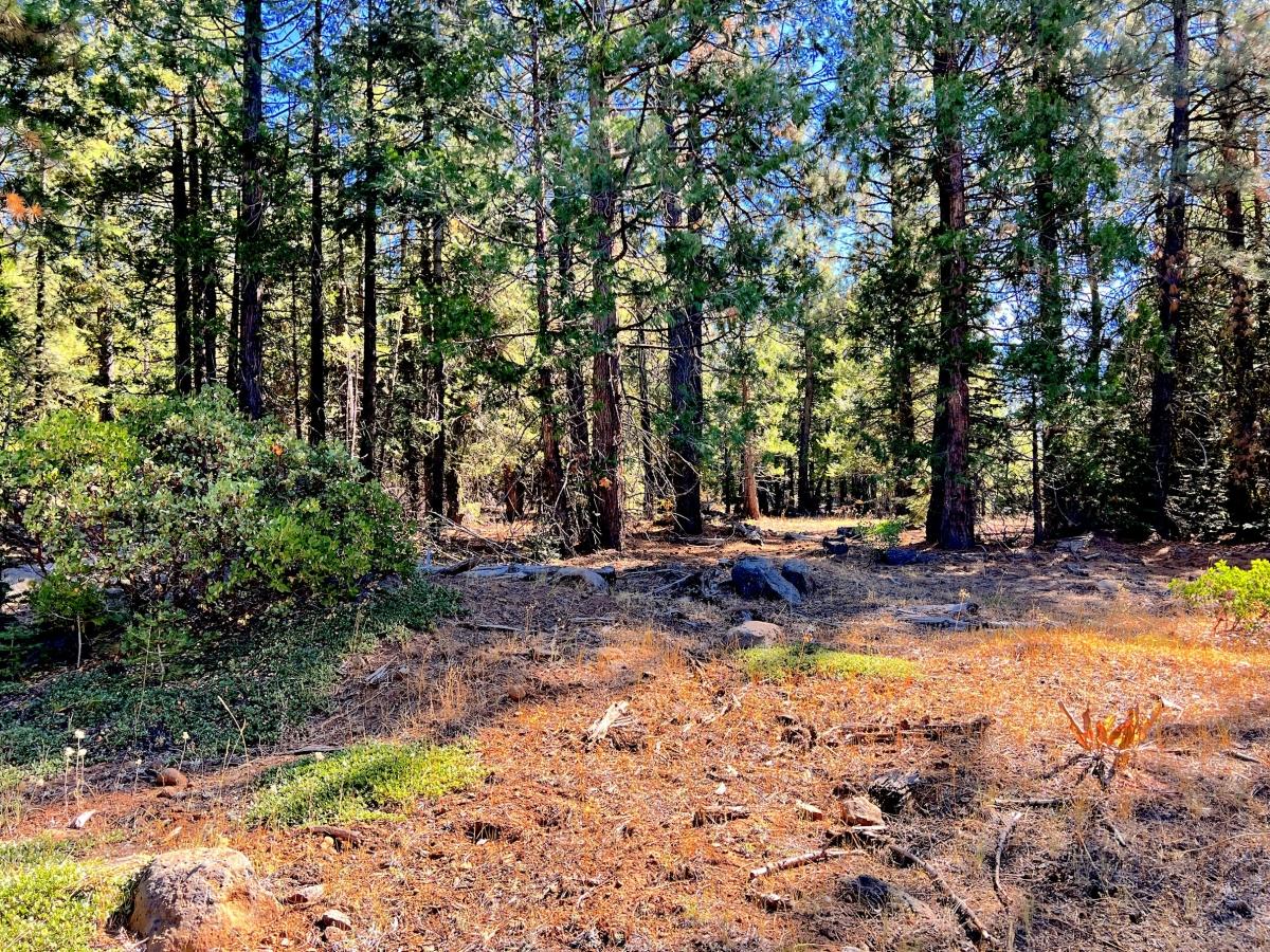 0.9 Acres for Sale in California Pines, California