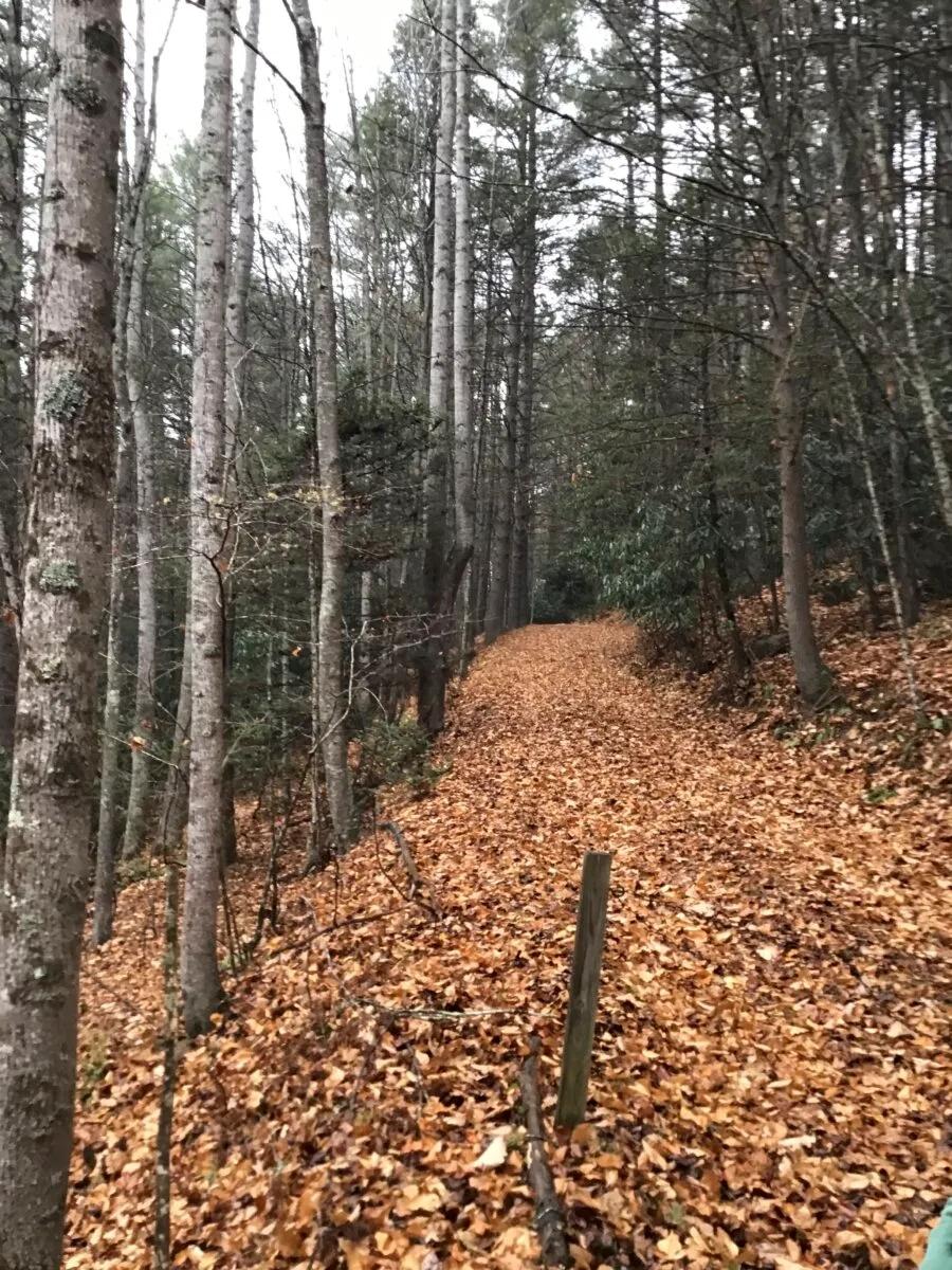 6 Acres for Sale in Galax, Virginia