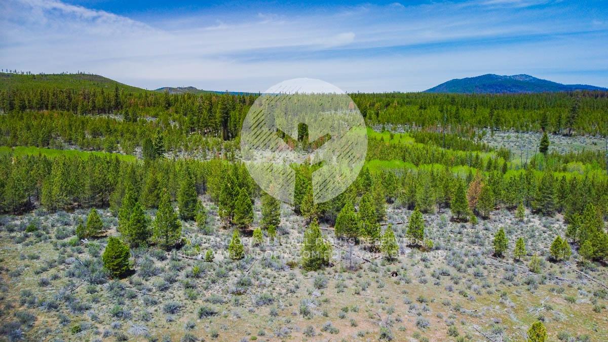1.51 Acres for Sale in Chiloquin, Oregon