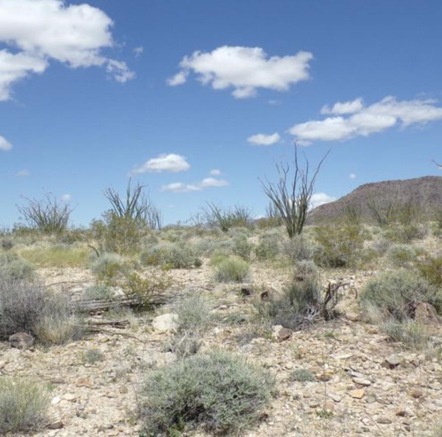 5 Acres for Sale in Concho, Arizona