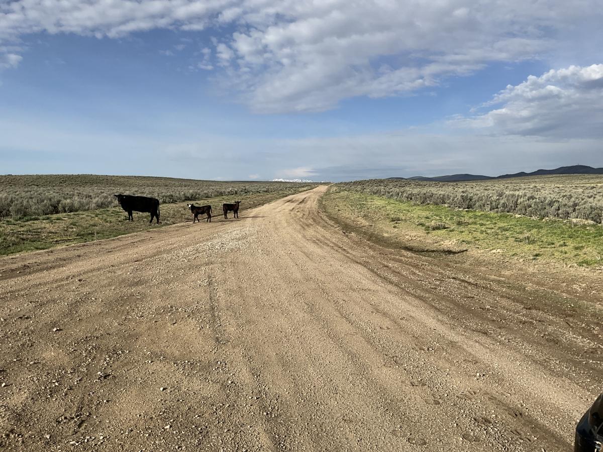 1.13 Acres for Sale in Elko, Nevada