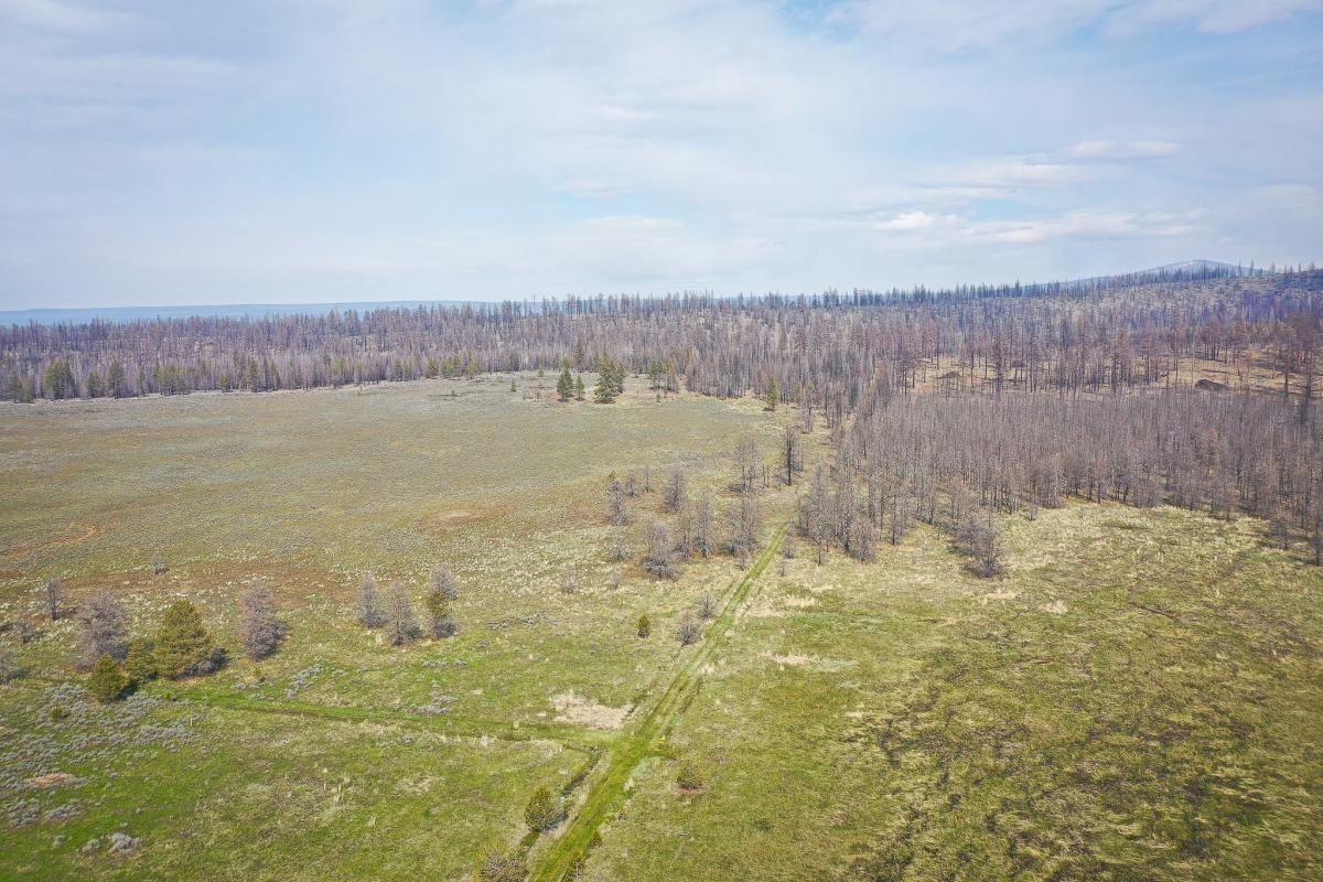 10.45 Acres for Sale in Bly, Oregon