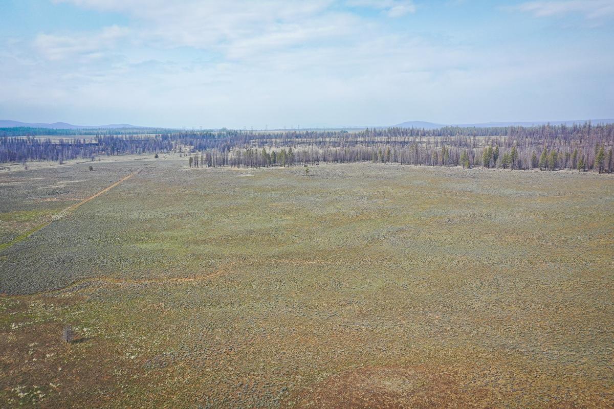 10.45 Acres for Sale in Bly, Oregon