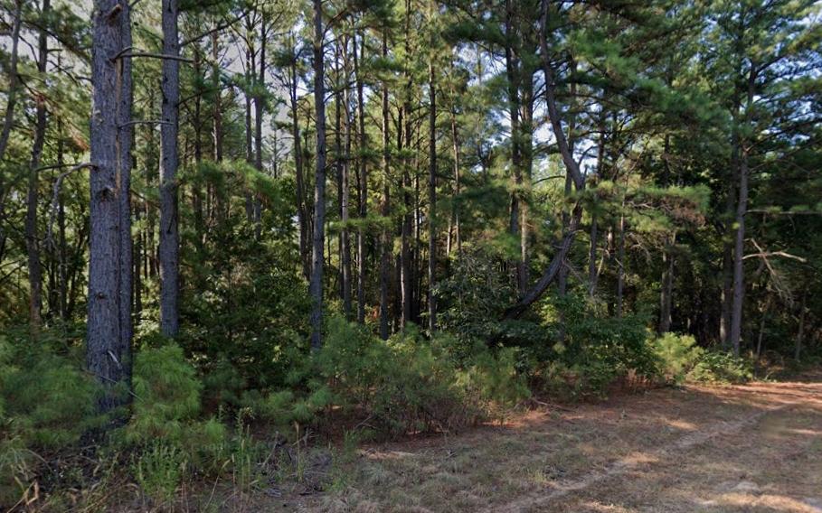 0.19 Acres for Sale in Mineola, Texas