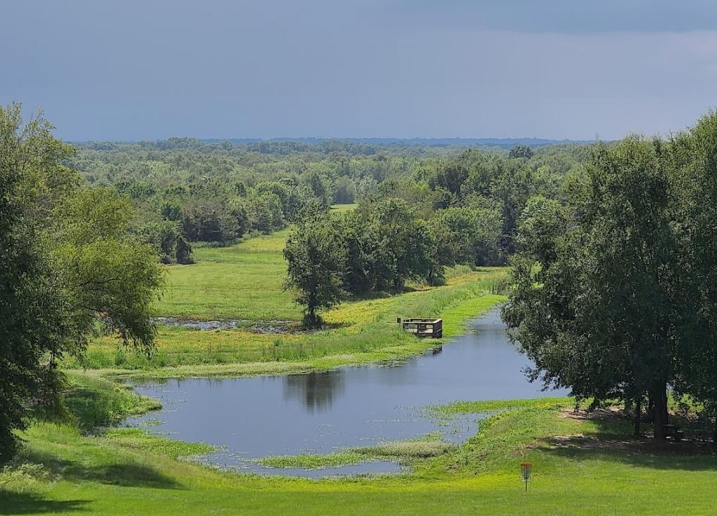 0.19 Acres for Sale in Mineola, Texas