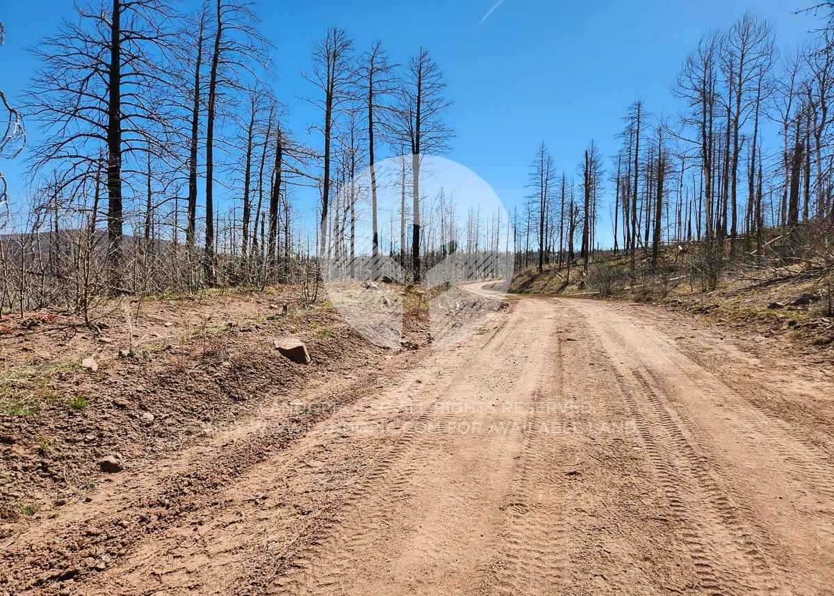 2.05 Acres for Sale in Fort Garland, Colorado