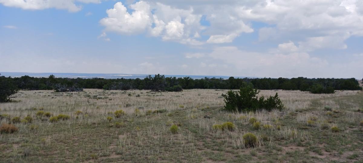 2.5 Acres for Sale in Chambers, Arizona