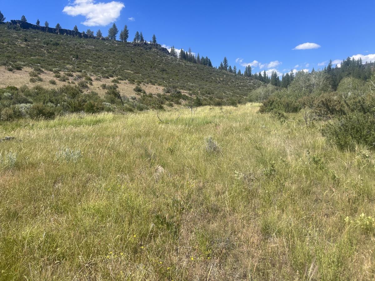 1.54 Acres for Sale in Chiloquin, Oregon