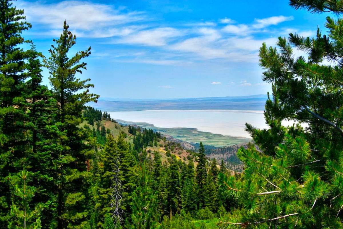 0.92 Acres for Sale in California Pines, California