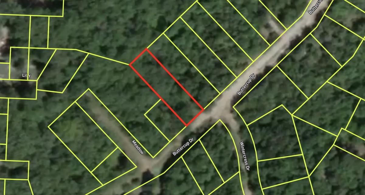 .21 Acres for Sale in Iconium, Missouri