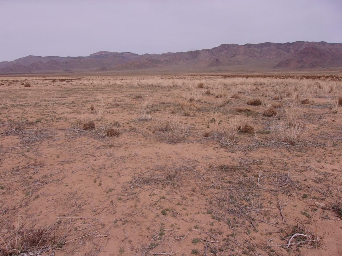 2.5 Acres for Sale in Antares, Arizona