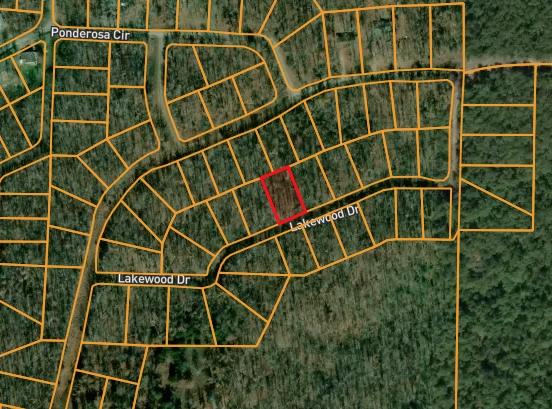 0.32 Acres for Sale in Williford, Arkansas