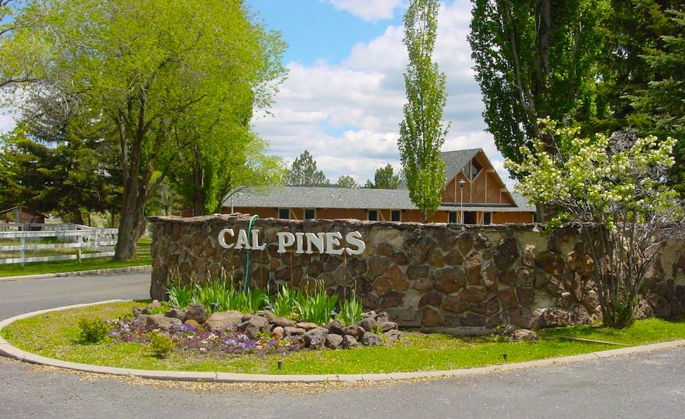 0.98 Acres for Sale in California Pines, California