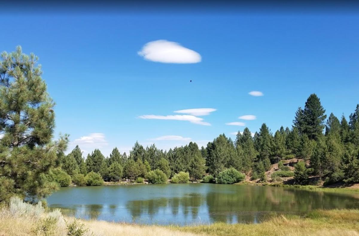 0.98 Acres for Sale in Alturas, California