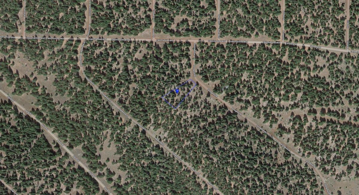 0.98 Acres for Sale in Alturas, California