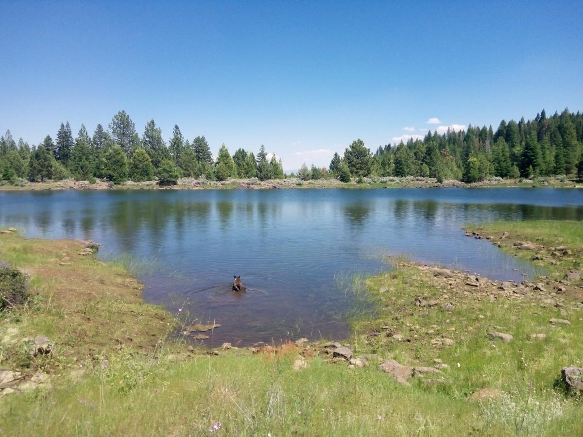 0.99 Acres for Sale in Alturas, California