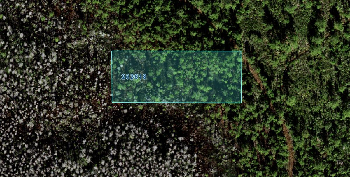 1.0 Acres for Sale in Lake Alfred, Florida