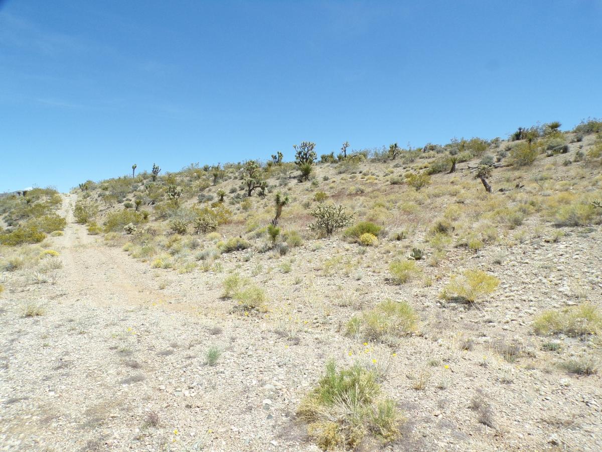 2 Acres for Sale in Meadview, Arizona