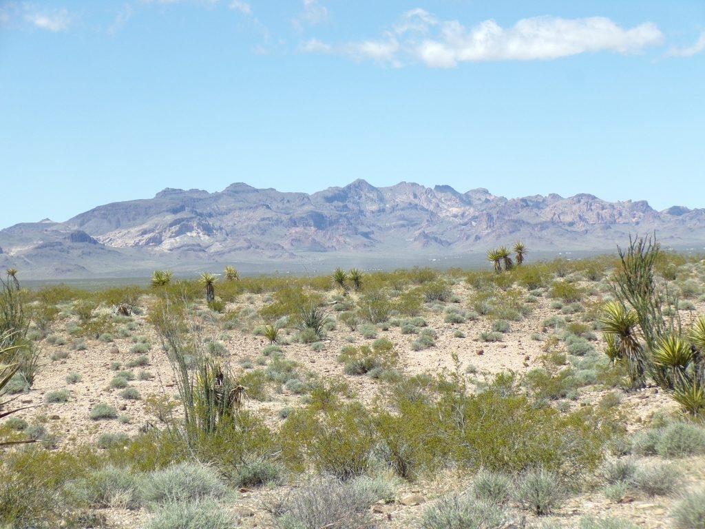 2.5 Acres for Sale in Drake, Arizona
