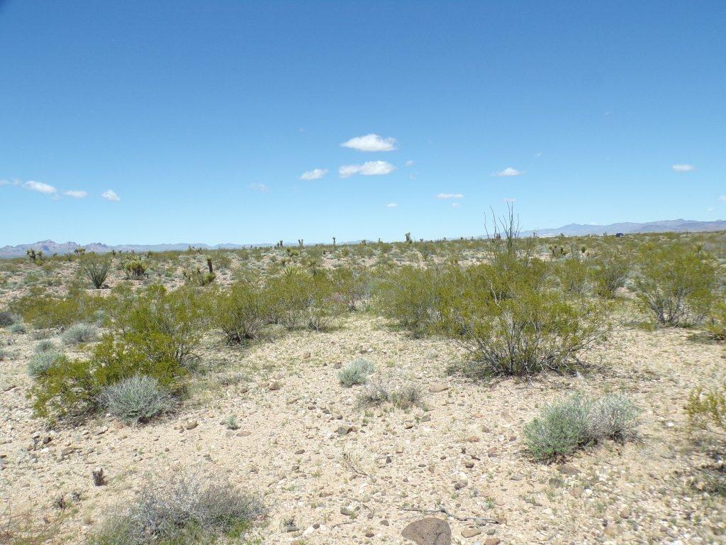 2.5 Acres for Sale in Drake, Arizona