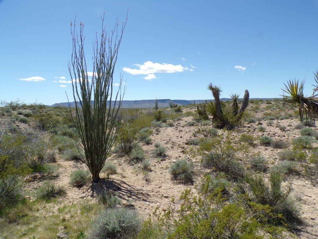 2.5 Acres for Sale in Drake, Arizona