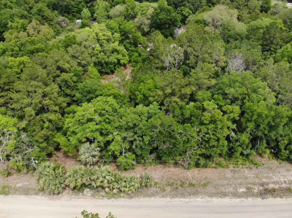 0.22 Acres for Sale in Interlachen, Florida