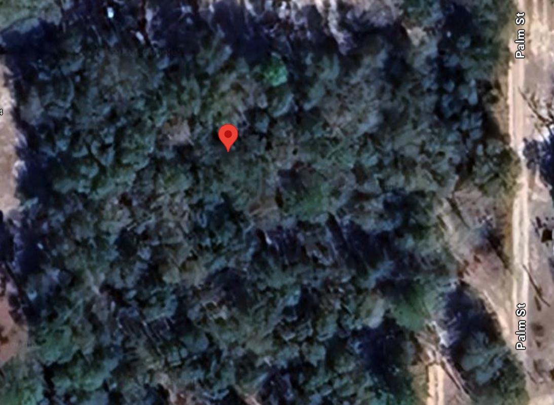 0.5 Acres for Sale in Melrose, Florida