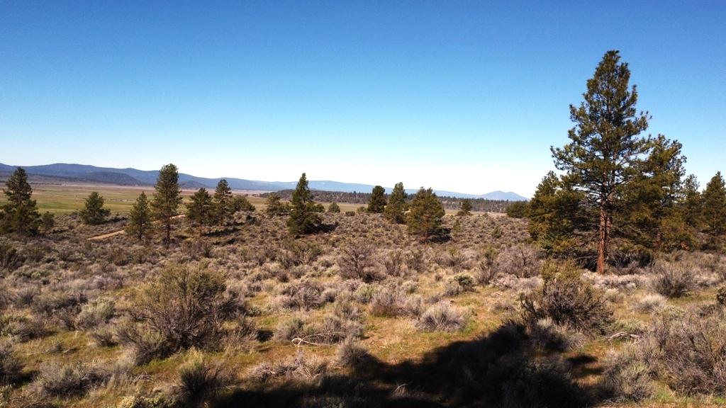 1.5 Acres for Sale in Beatty, Oregon